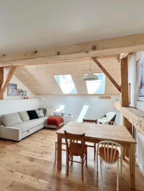 Triplex in the heart of Chamonix